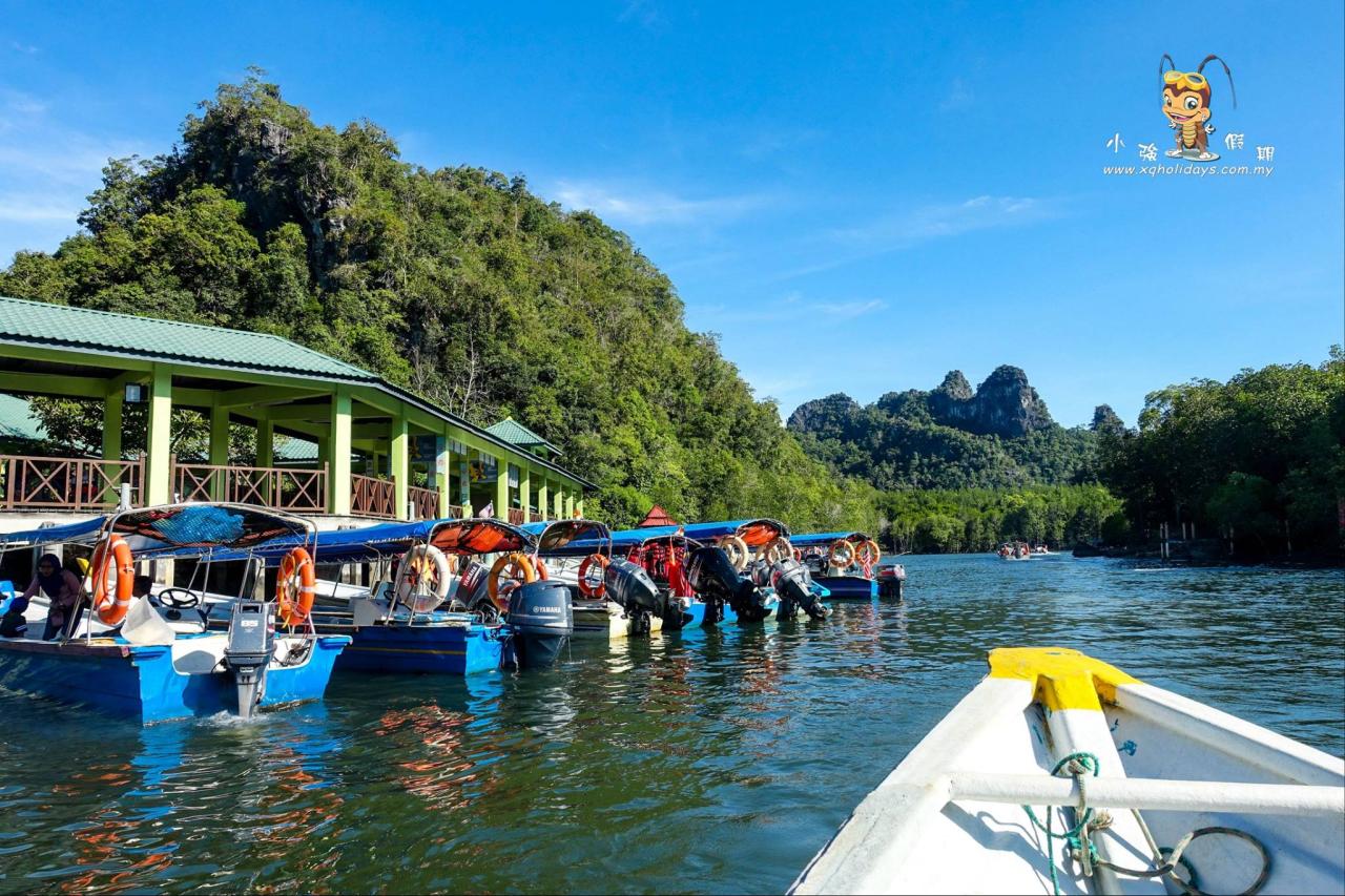 Jelajahi Ekosistem Unik Langkawi dalam Mangrove Tour yang Menakjubkan